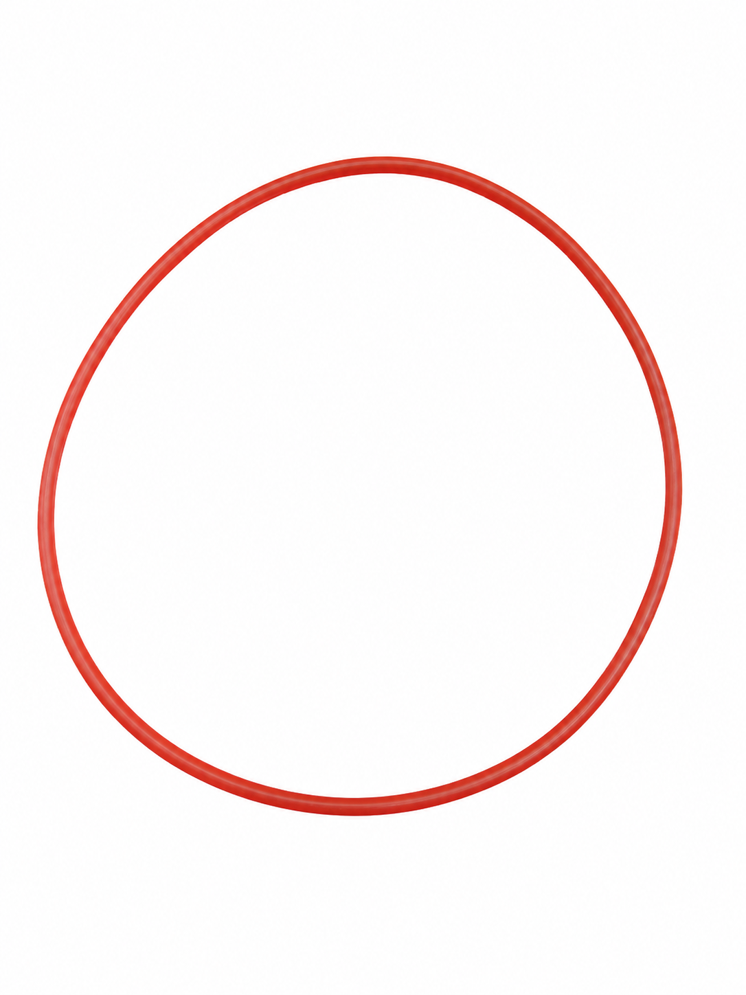 lay z spa e12 hydeo jet pump seal